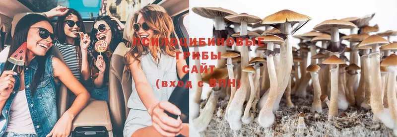 Галлюциногенные грибы Cubensis  ссылка на мегу зеркало  Долинск 